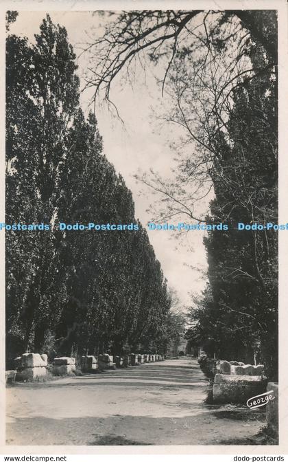 R018807 Arles en Provence Les Alyscamps Allee des Tombeaux Georges Arles
