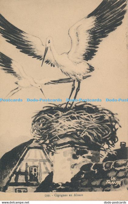 R033925 Cigognes en Alsace 1924