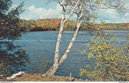 R034044 Greetings from Port Carling Muskoka Ontario 1969