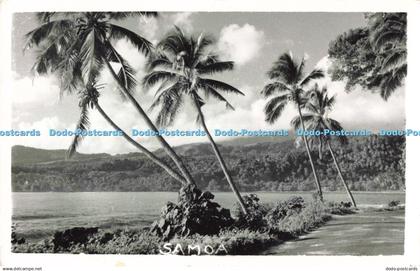 R200616 Samoa Beach Palms Old Photography Postcard