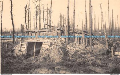 R253666 Ruines de la Foret dHouthulst The ruins of the Houthulst Forest Abri She