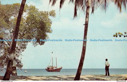 R410538 Barbados West Indies One of Barbados chartered pleasure yachts West Coas
