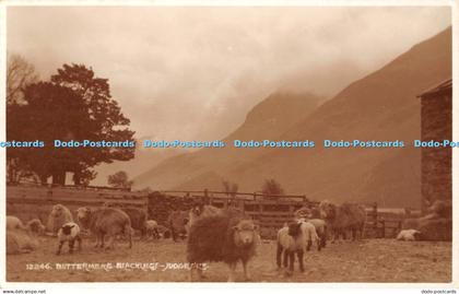 R467732 Buttermere Blacklegs Judges 12246