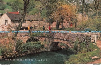 R493262 The Pack Horse Bridge Mill Dale Salmon
