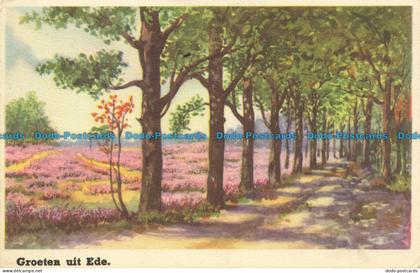 R648041 Groeten Uit Ede. D. R. C