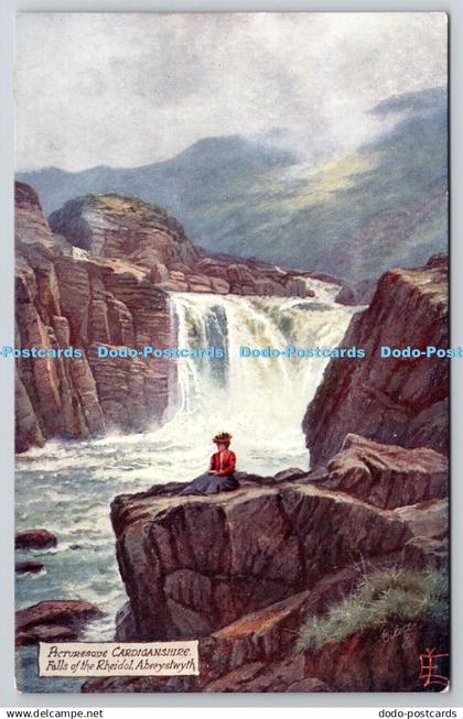 R752970 Picturesque Cardiganshire Aberystwyth Falls of the Rheidol Tuck Oilette