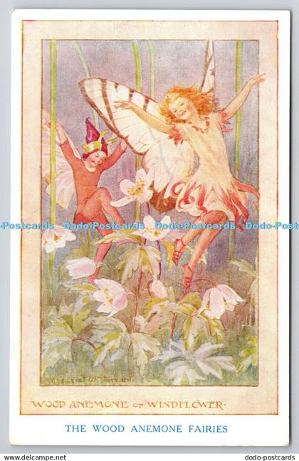 R761266 The Wood Anemone Fairies Hale Cushman and Flint The Medici Society Marga