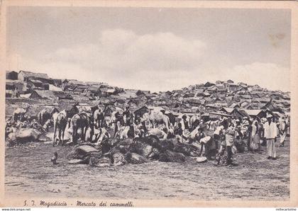 SOMALIA - Mogadiscio - Mercato dei cammelli