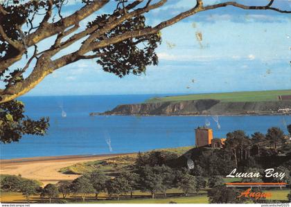 uk35277 lunan bay angus scotland  uk