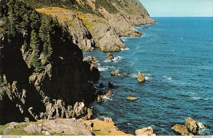 US4992 St. John's Newfoundland Long Marine Drive St. John's Offers