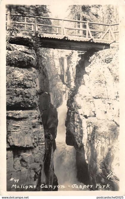 US6287 jasper canada real photo maligne nanyon jasper park