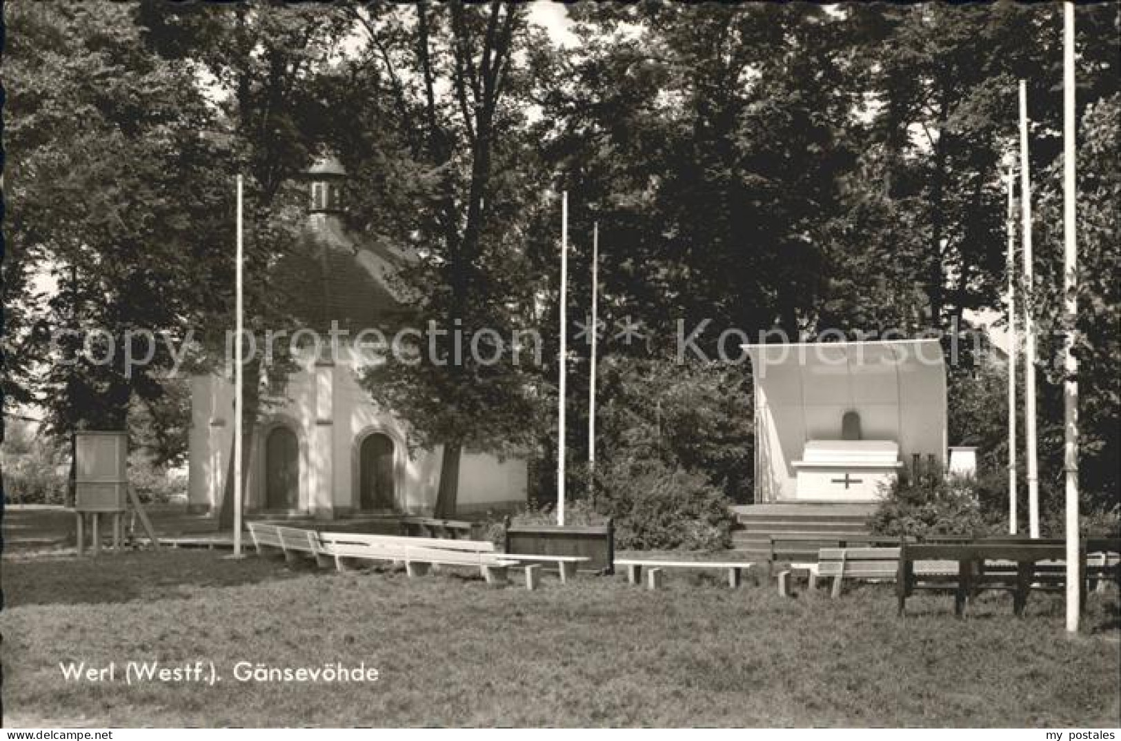 Werl Westfalen Gaensevoehde