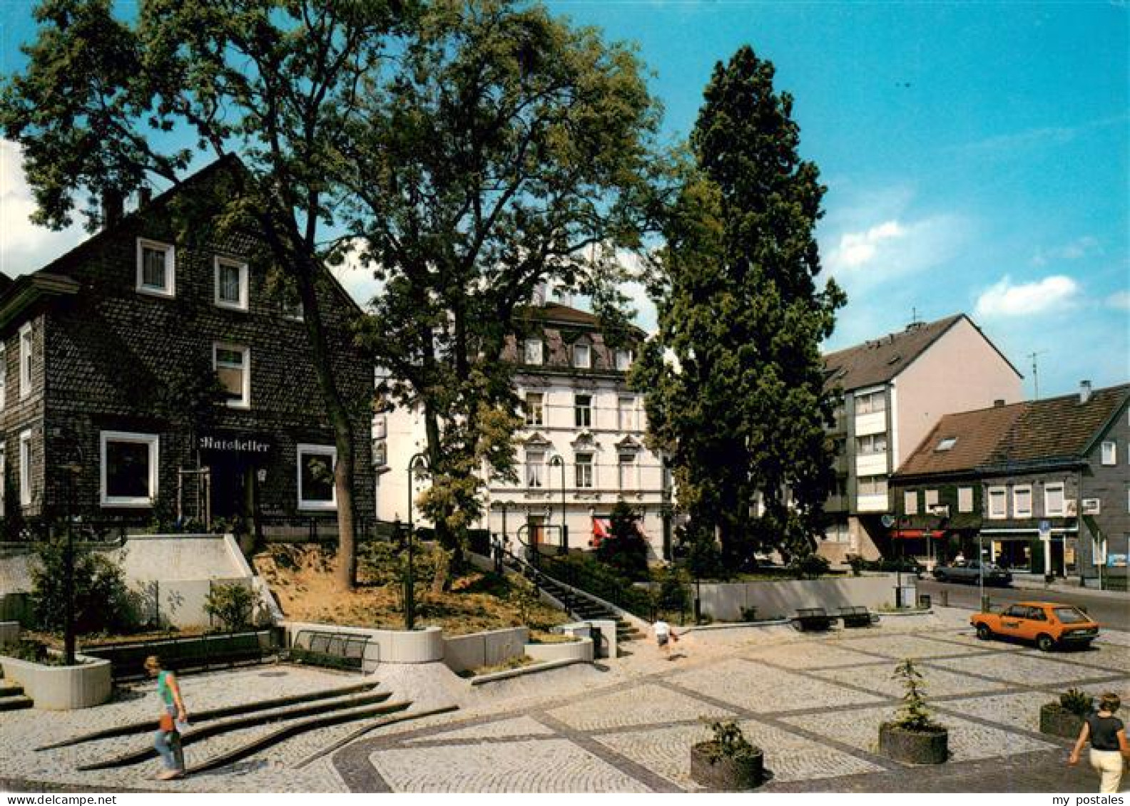 Wermelskirchen Kalifornische Mammutkiefer
