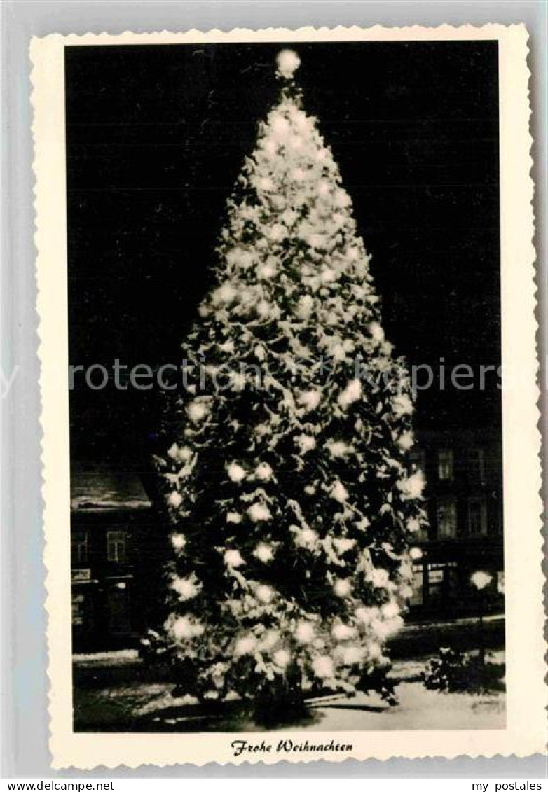 Wermelskirchen Mammutkiefer Weihnachtsbeleuchtung