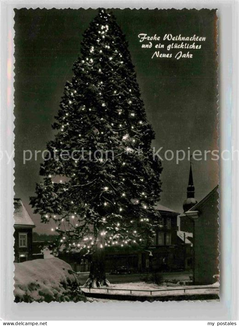 Wermelskirchen Mammutkiefer Weihnachtsbeleuchtung