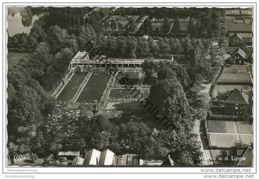 Werne - Freibad - Luftbild - Foto-AK 1961