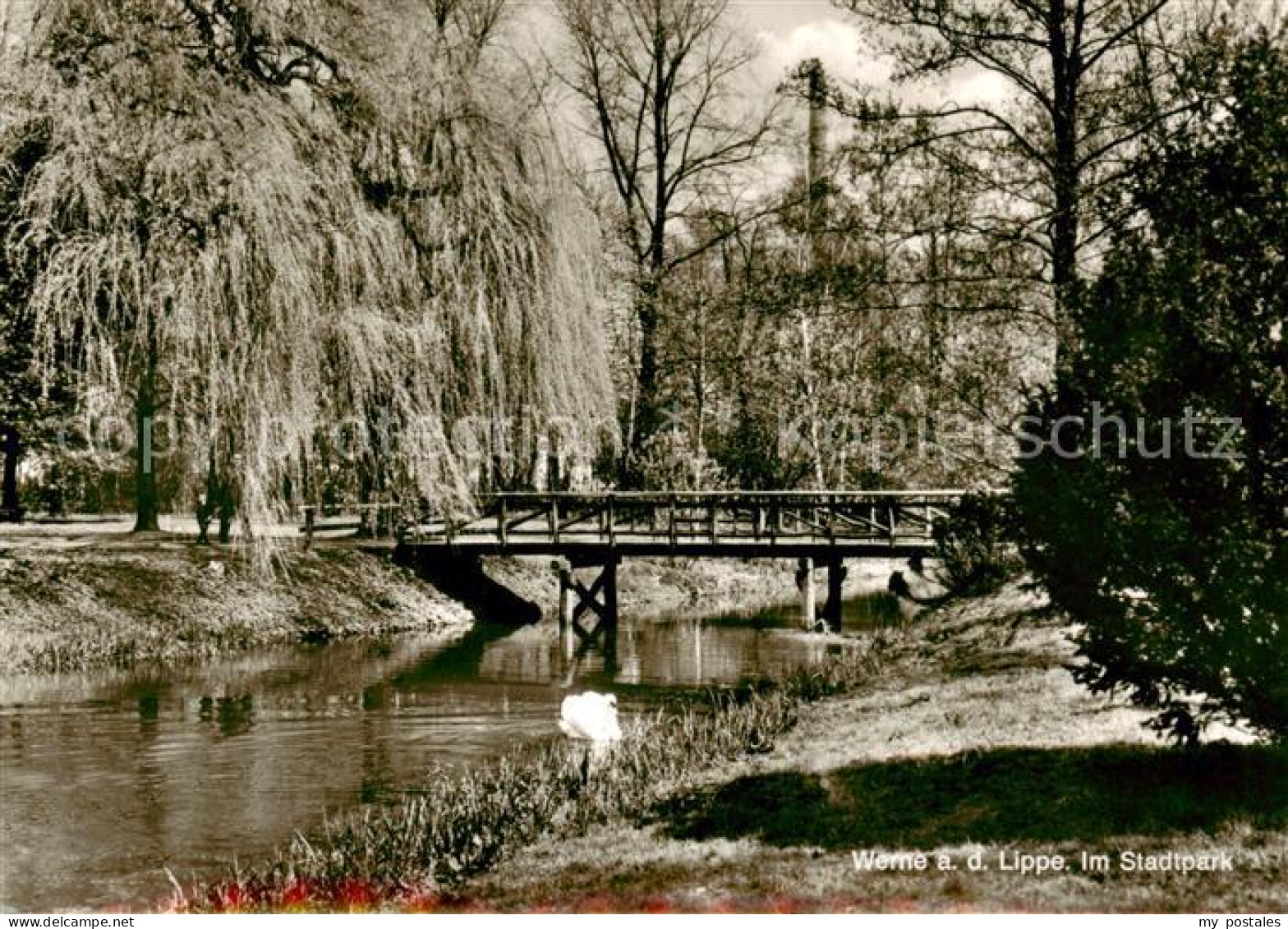Werne  Lippe Muenster Westfalen Im Stadtpark