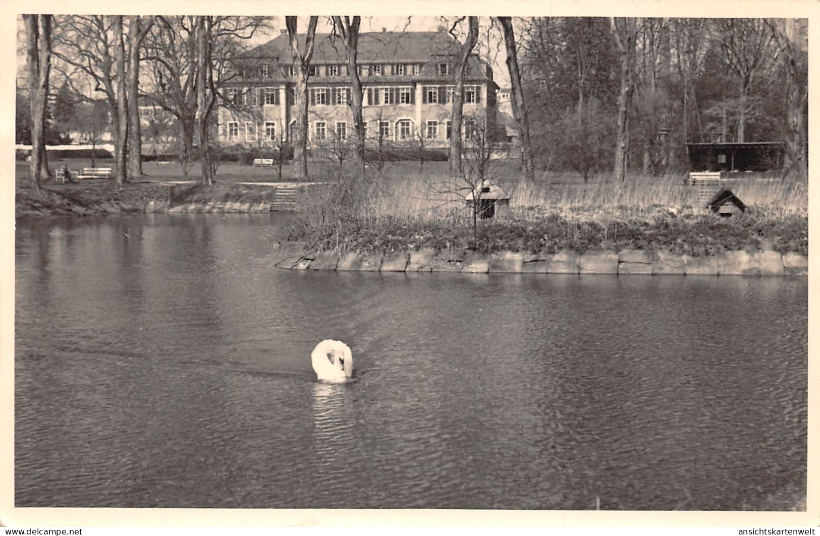 Werneuchen Uferpartie mit Schwan gl1959 #168.113