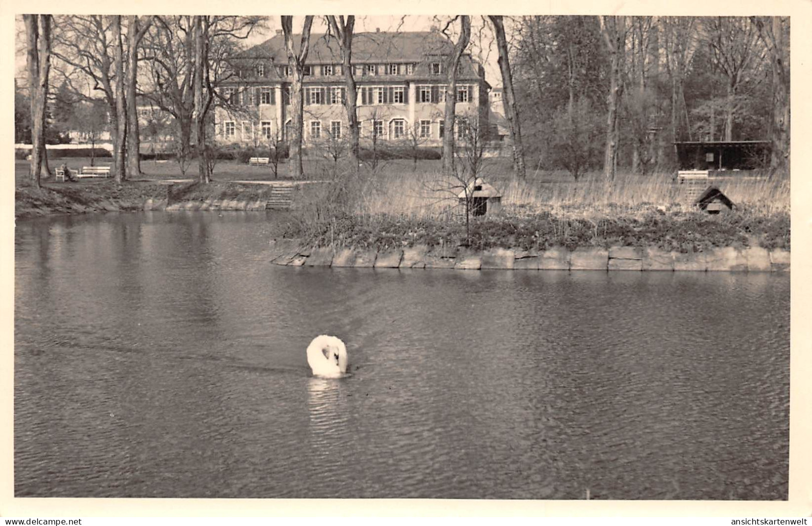 Werneuchen Uferpartie mit Schwan ngl #168.112