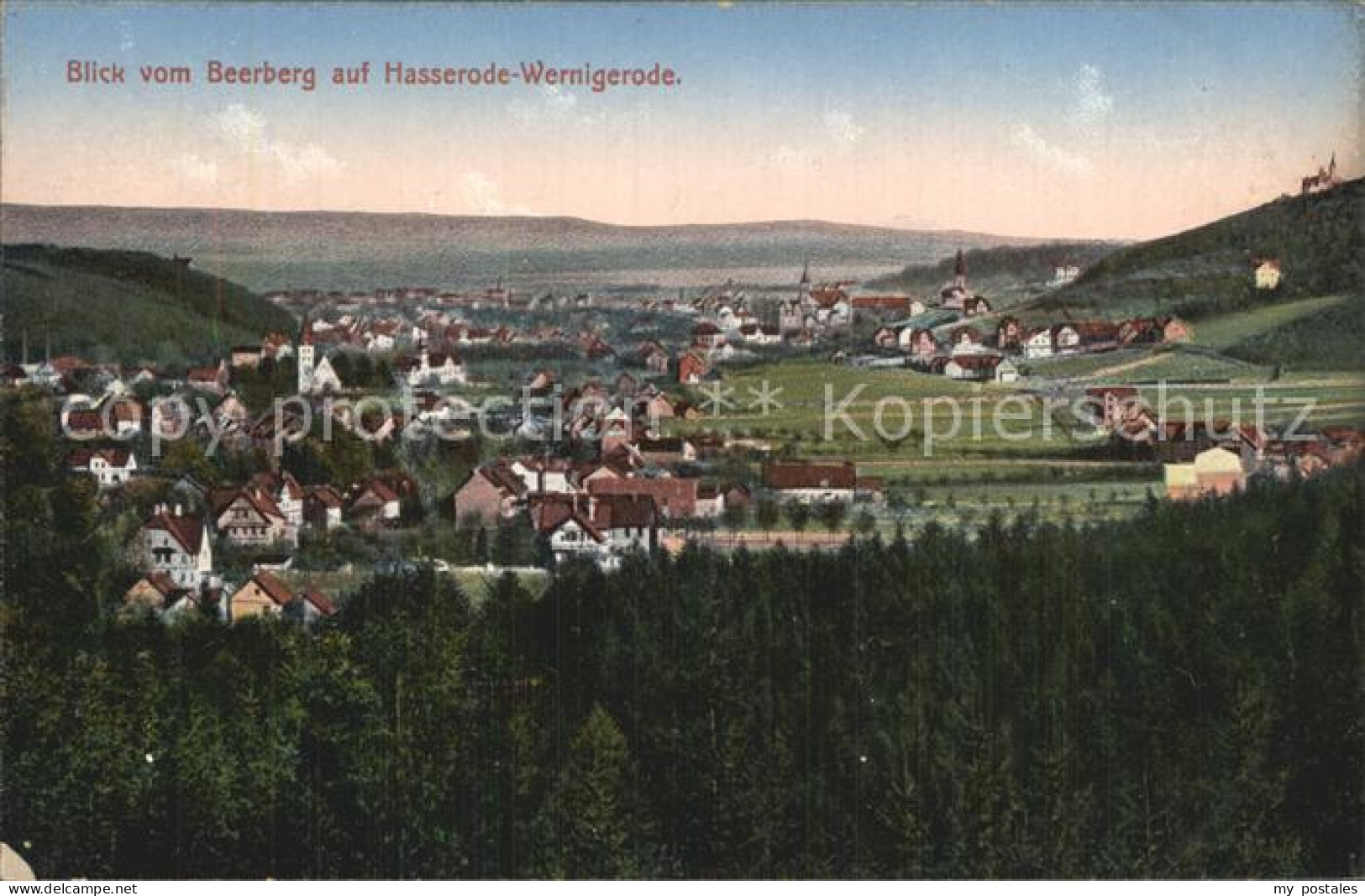 Wernigerode Harz Blick vom Beerberg auf Hasserode Wernigerode