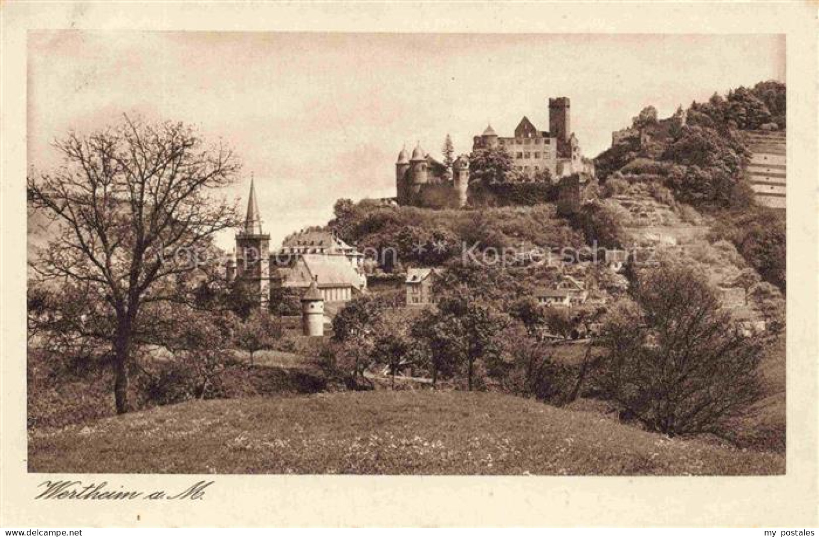 Wertheim Main BW Burg-Wertheim Kirche Huegel Wald Stadtansicht Wiese