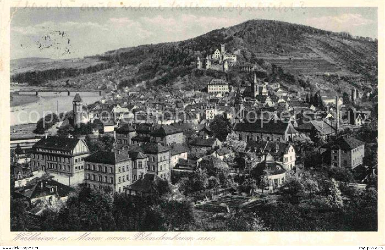 Wertheim Main Panorama