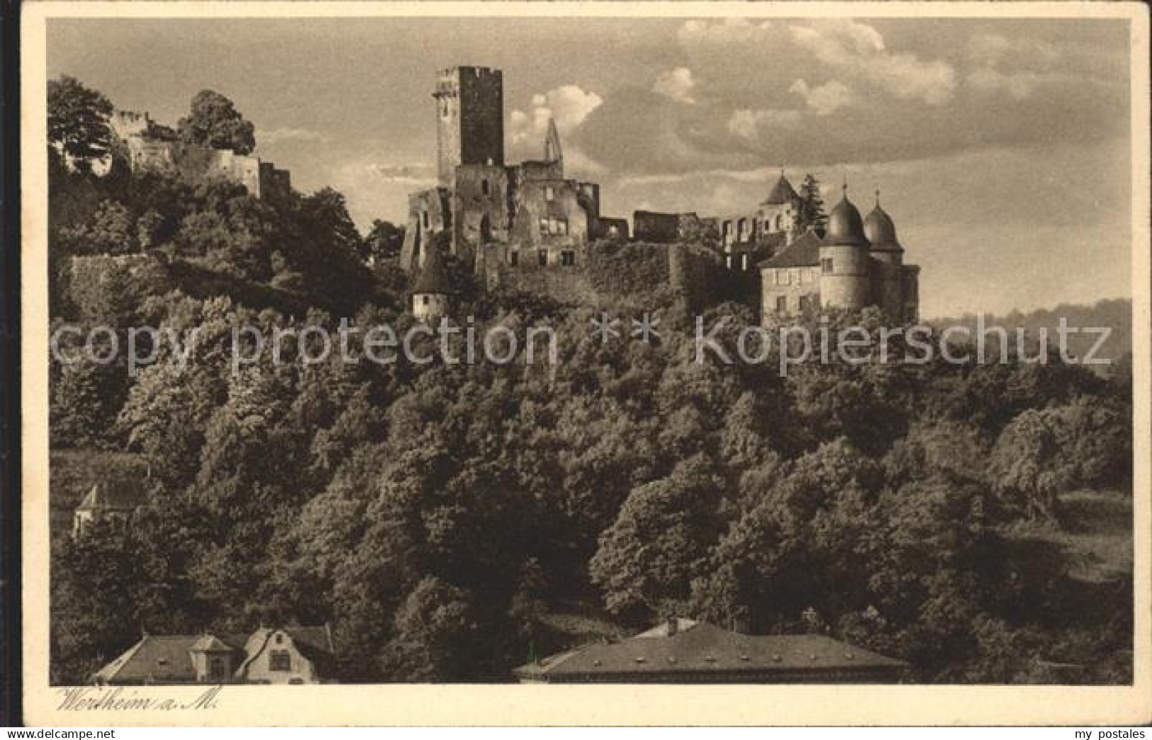 Wertheim Main Schlossruine
