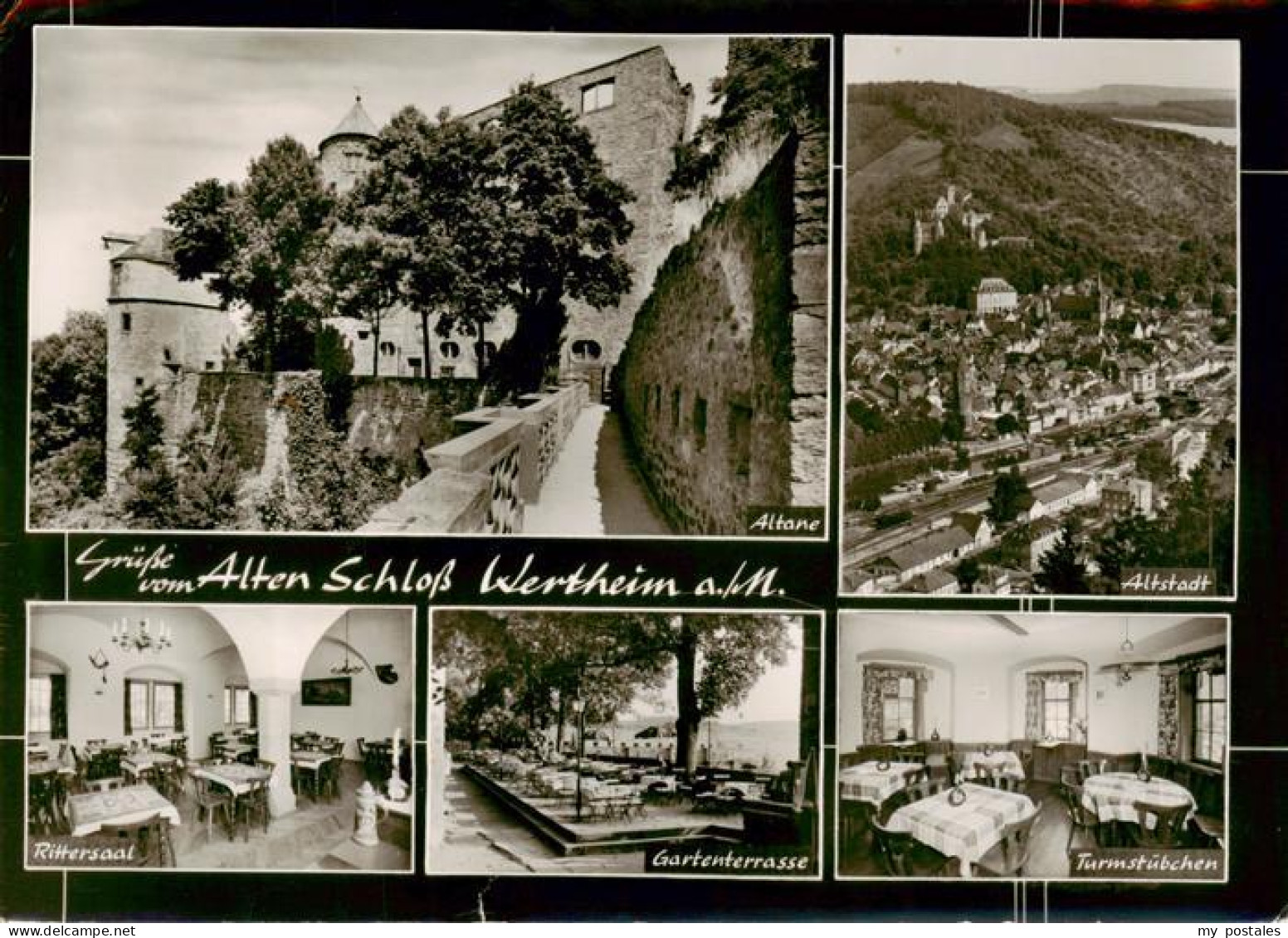 Wertheim Main Schlossruine Wertheim Altane Altstadt Rittersaal Gartenterrasse Tu