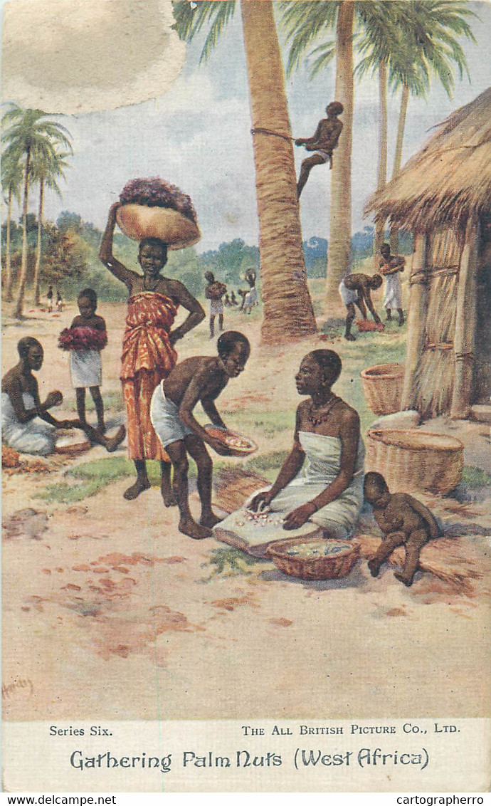 West Africa gathering palm nuts ethnic life old postcard