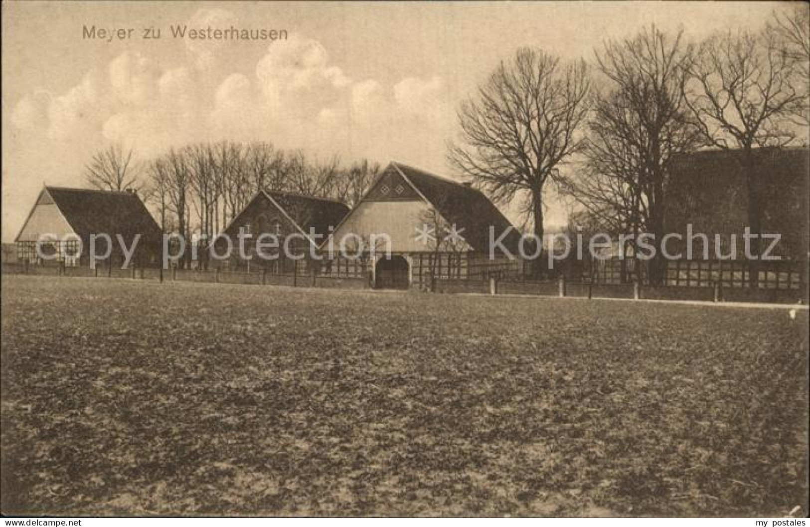 Westerhausen Melle Meyer