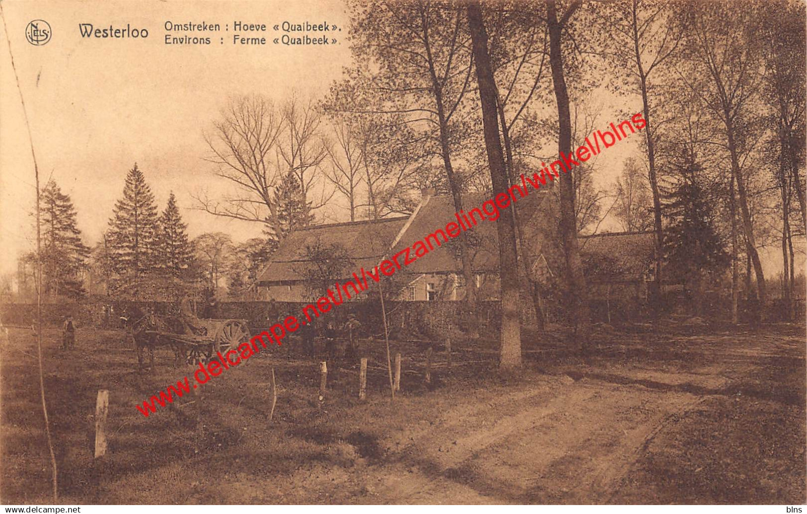 Westerloo - Hoeve Quaibeek - Westerlo
