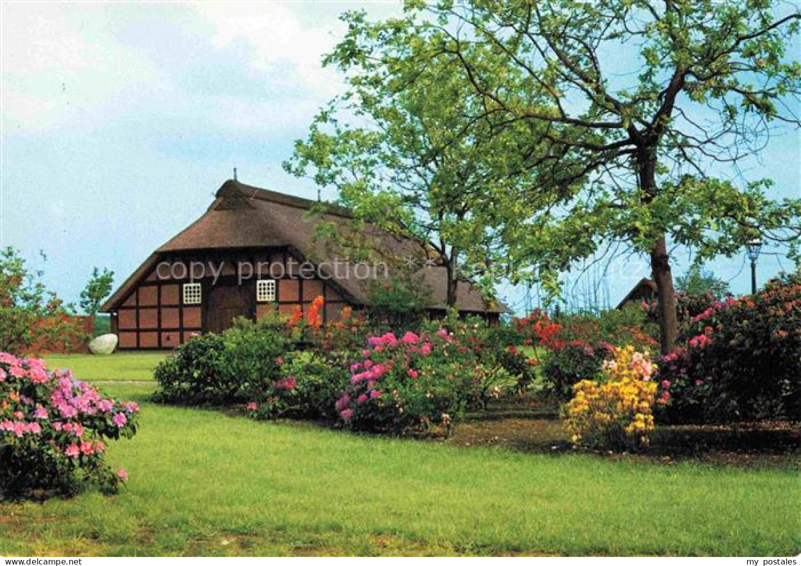 Westerloy Westerstede Ammerland Niedersachsen Muehlenhof Fachwerkhaus Reetdach R