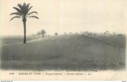 CPA Scenes et Types Paysage Saharien Palmiers Dalliers