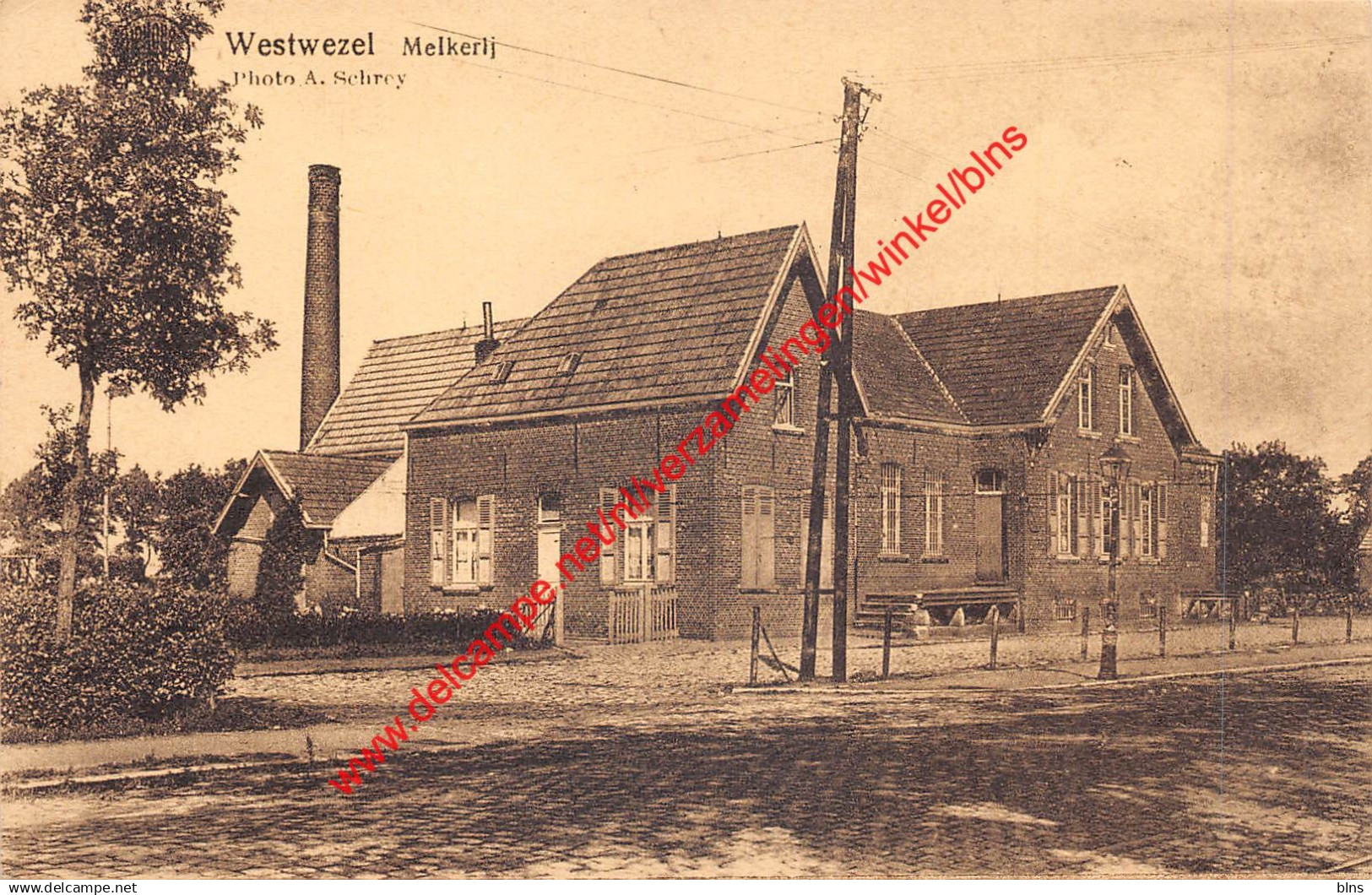 Westwezel - Melkerij - Wuustwezel