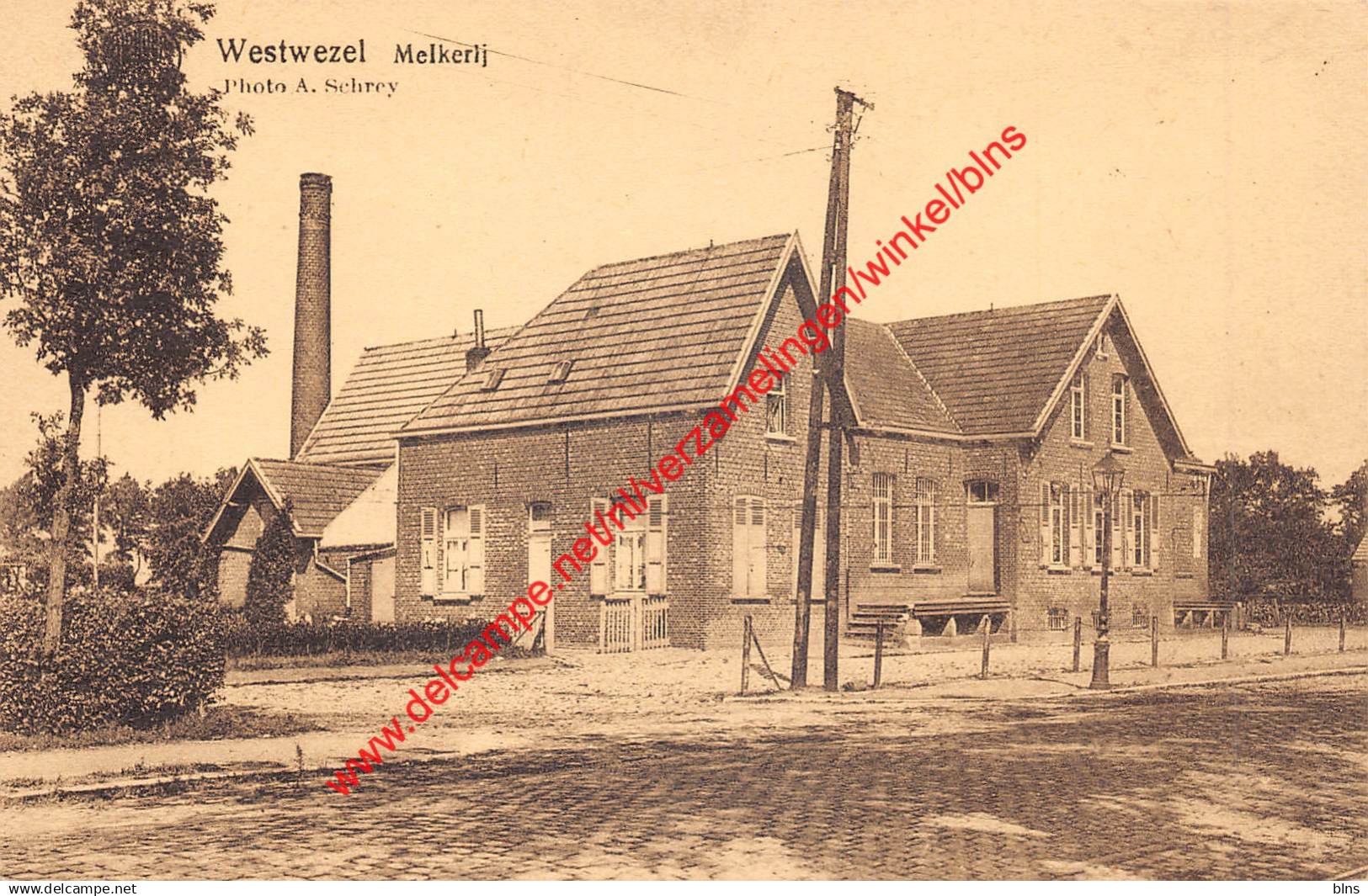 Westwezel - Melkerij - Wuustwezel