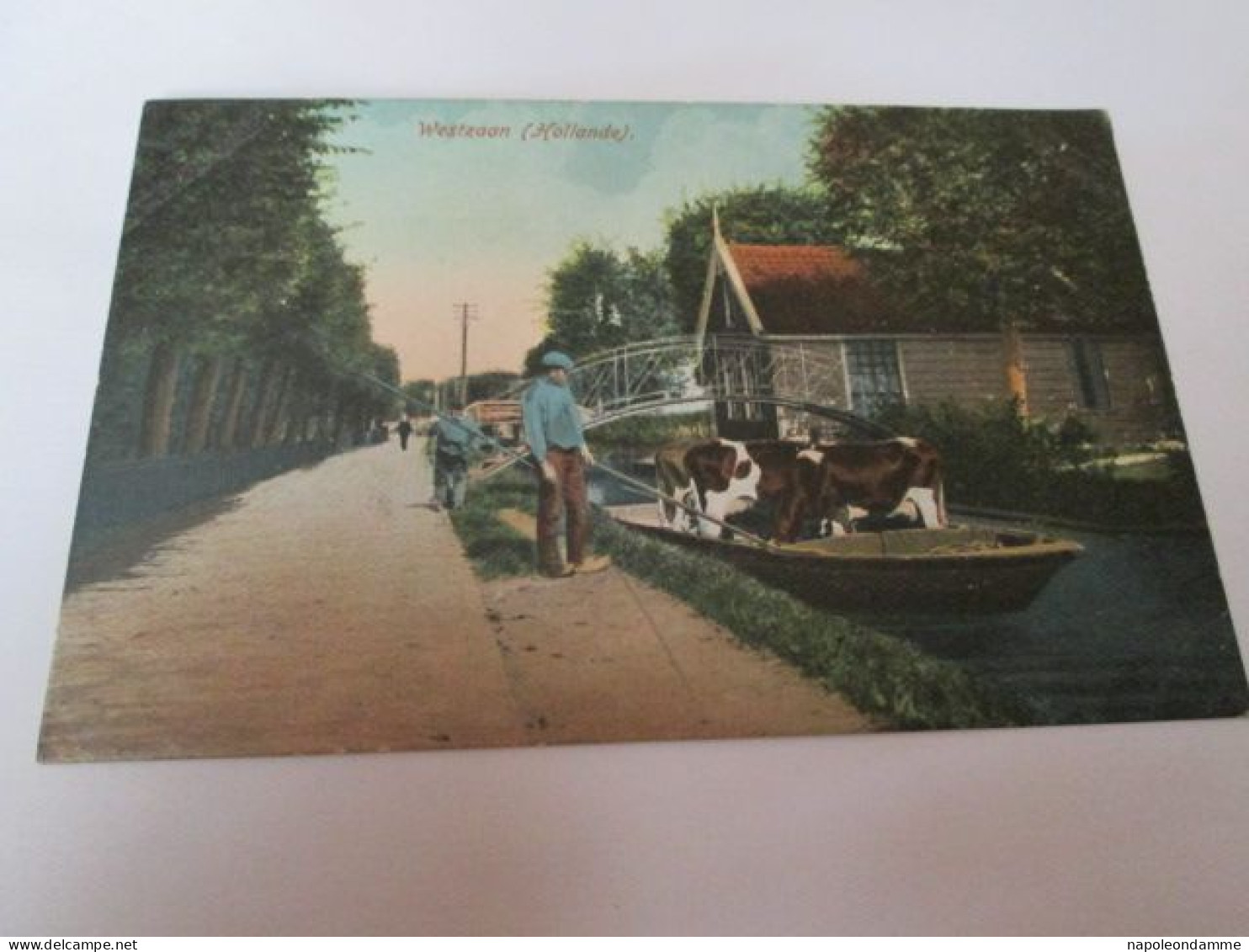 Westzaan, (Hollande)