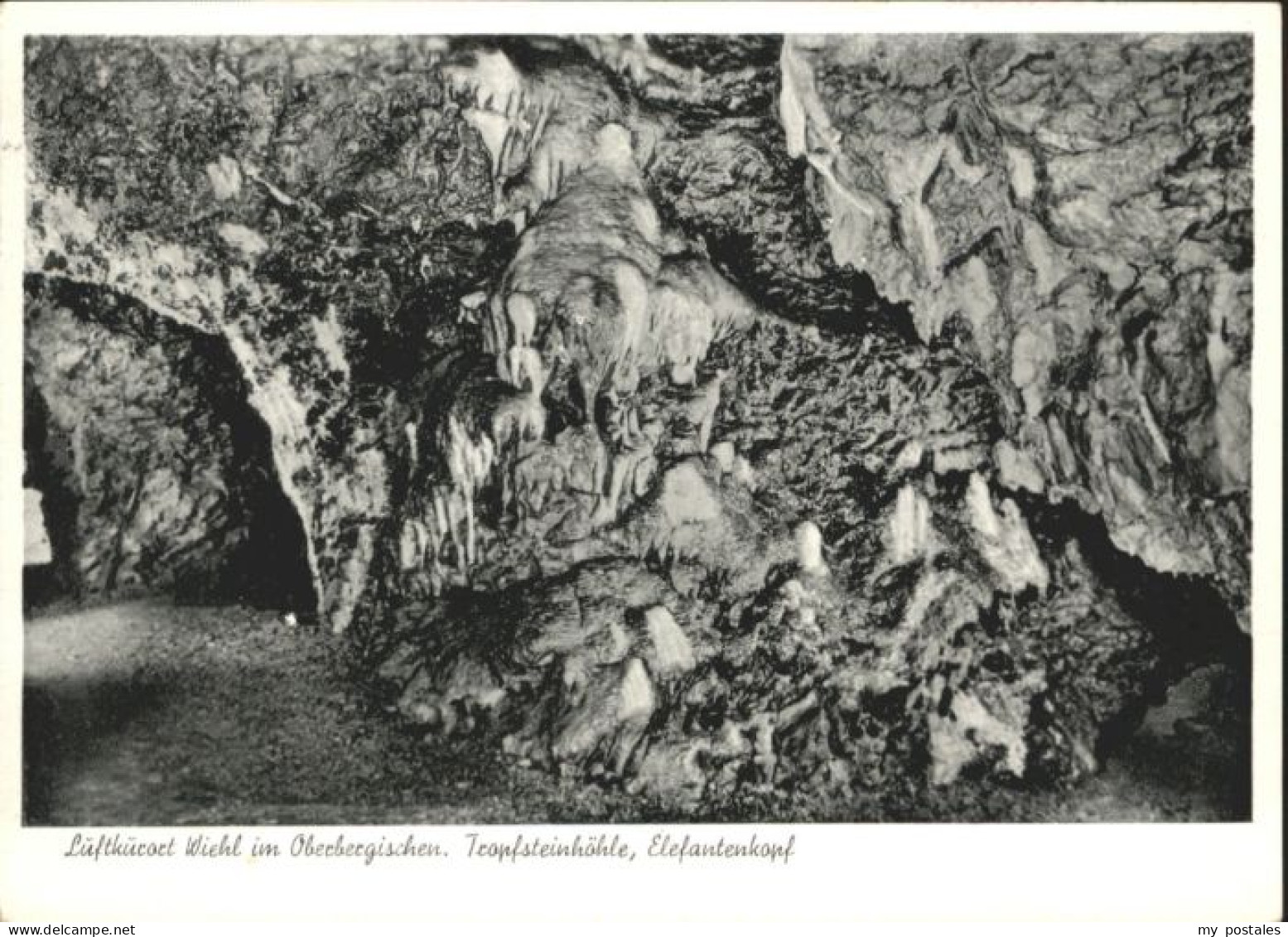 Wiehl Oberbergischer Kreis Wiehl Tropfsteinhoehle Elefantenkopf