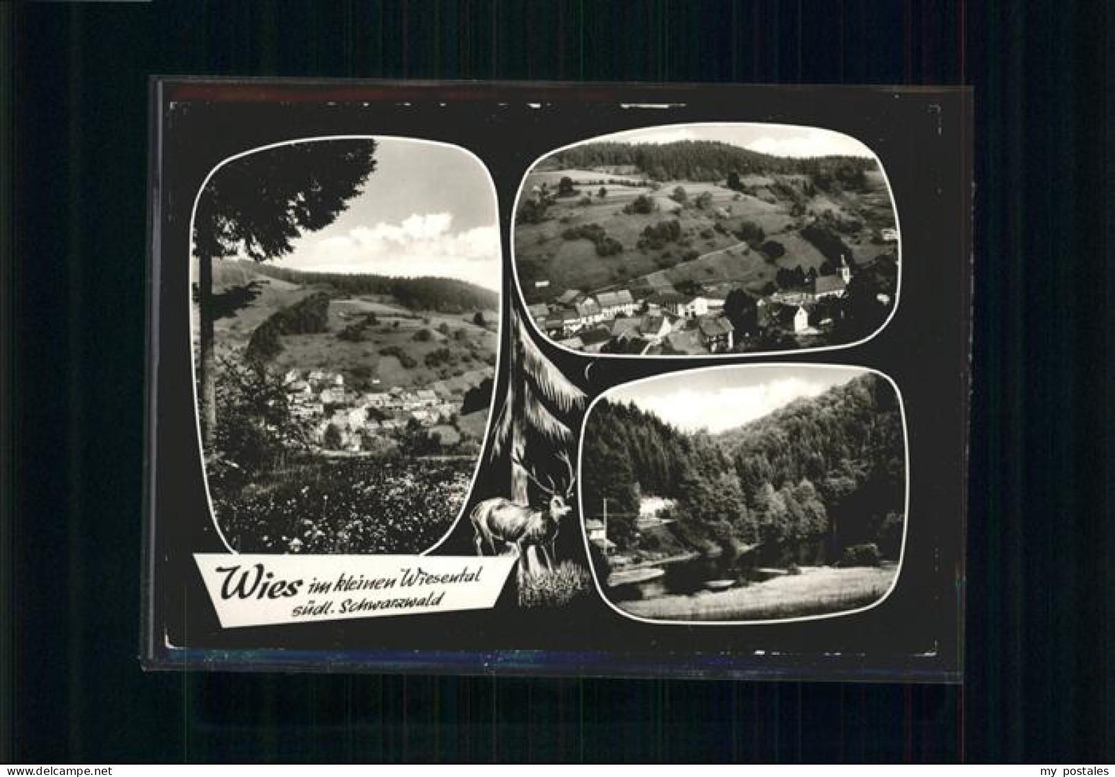 Wies