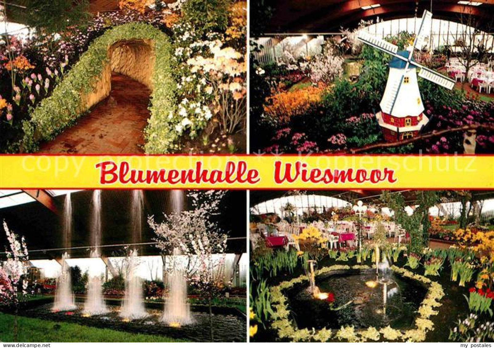 Wiesmoor Aurich Niedersachsen Blumenhalle Details