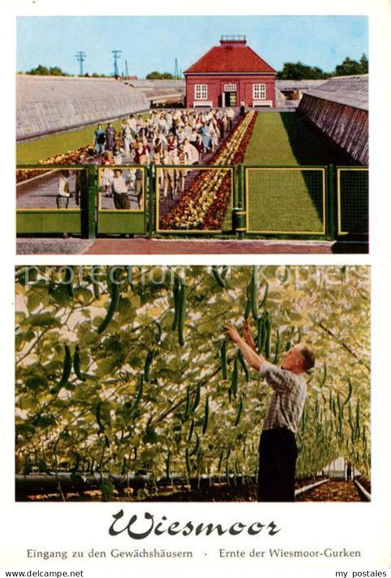 Wiesmoor Aurich Niedersachsen Eingang Gewaechshaeuser Ernte Wiesmoor Gurken