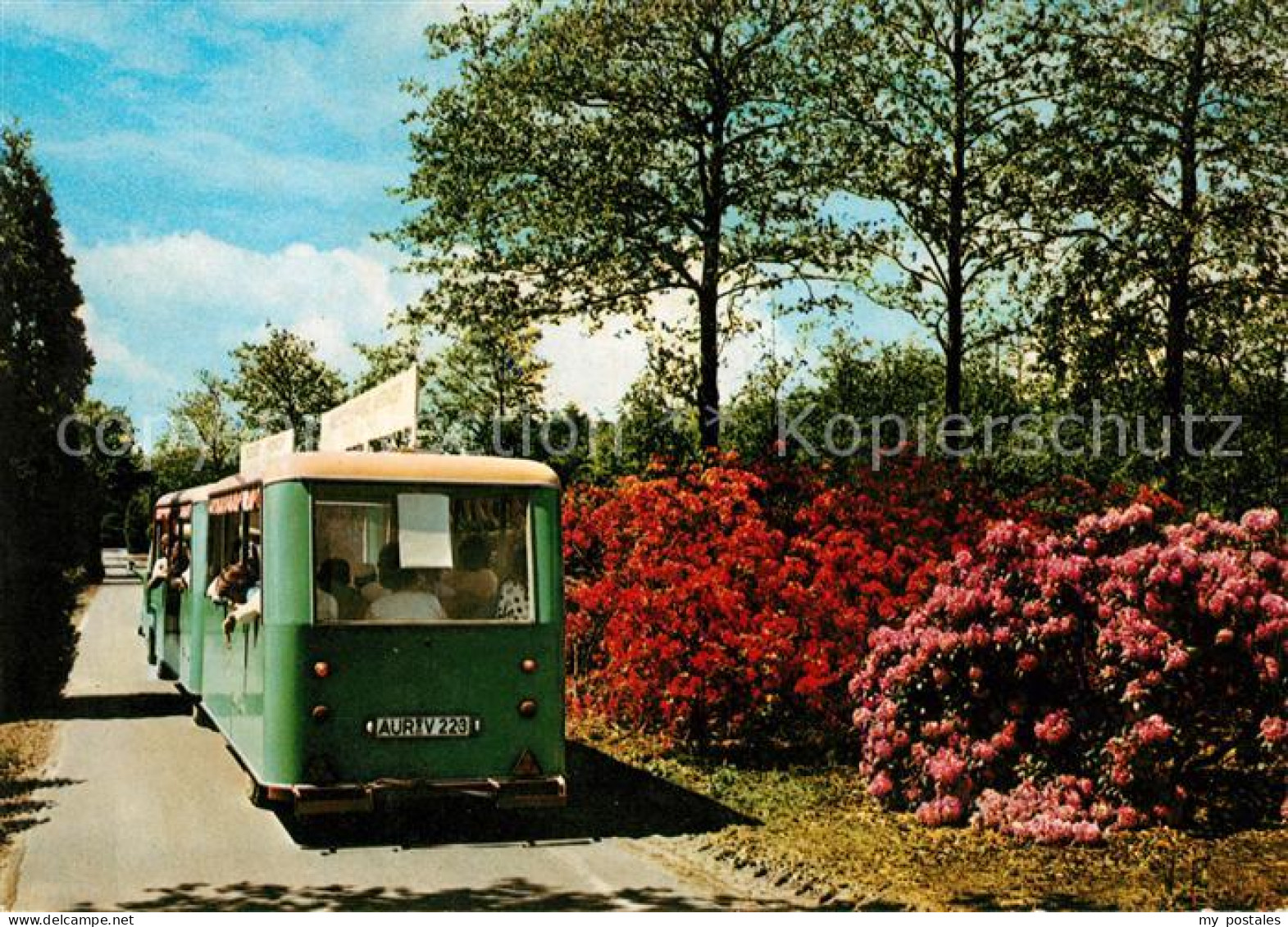 Wiesmoor Aurich Niedersachsen Gaertnerei Azaleen Rhododendronkulturen