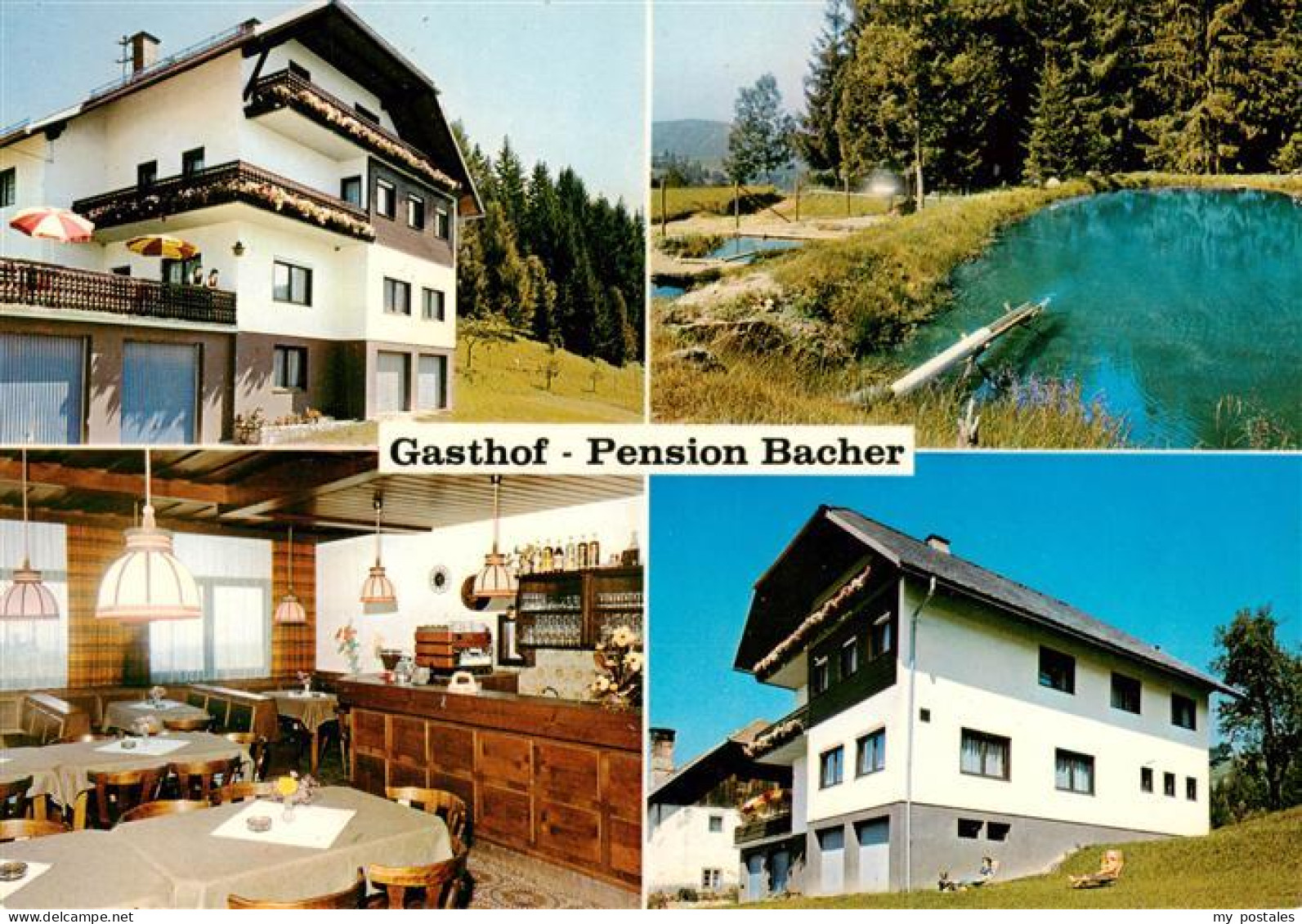 Wieting St. Veit an der Glan Kaernten AT Gasthof Pension Bacher Gastraum Fischte