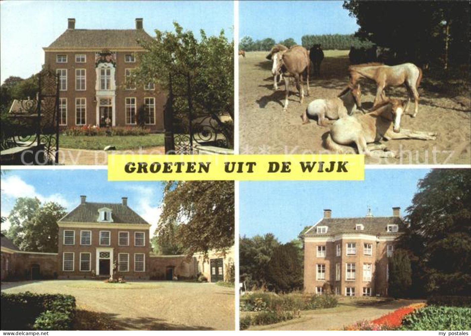 Wijk aan Zee Ville und Pferd