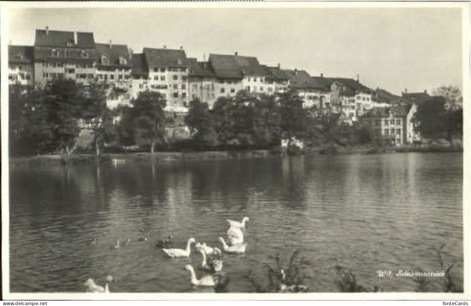 Wil SG Wil Teich