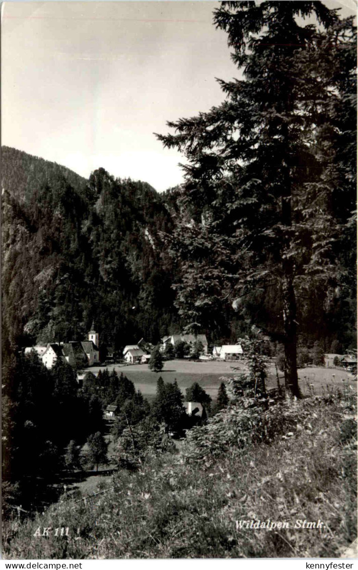 Wildalpen