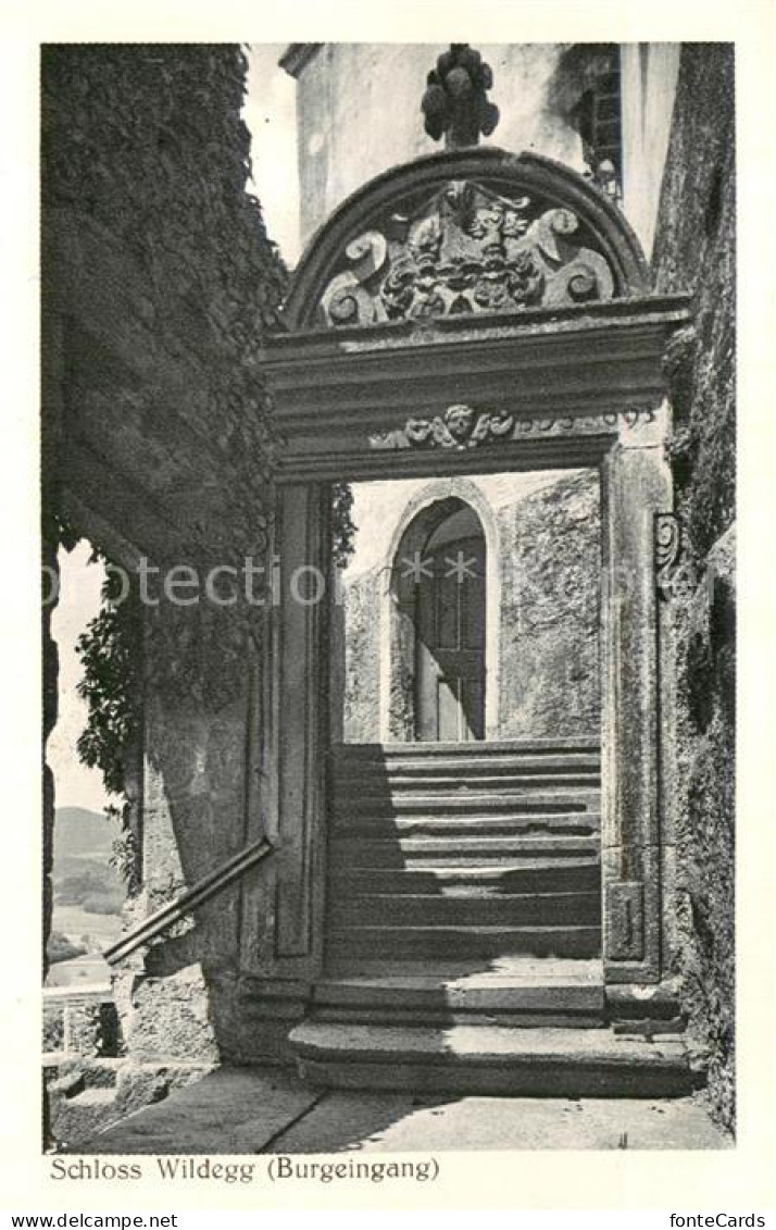 Wildegg AG Schloss Wildegg Burgeingang
