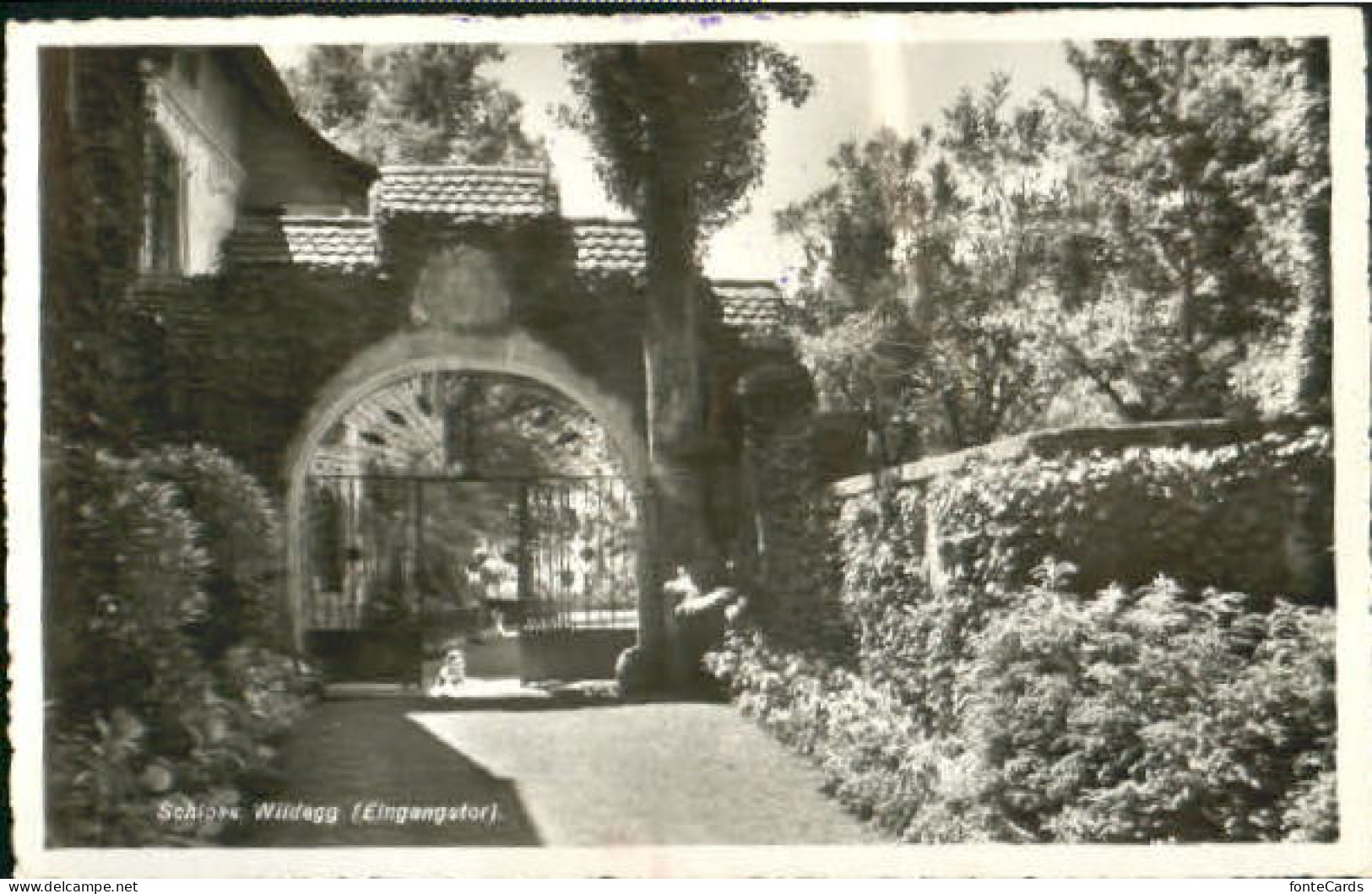 Wildegg Schloss Wildegg