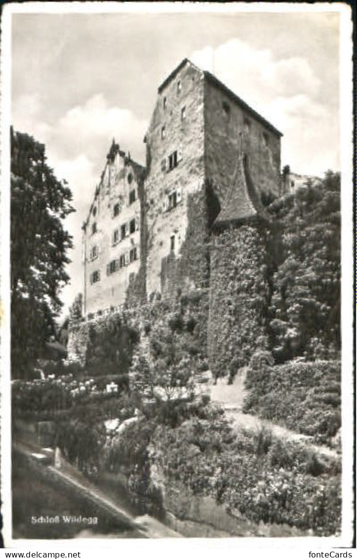 Wildegg Schloss Wildegg