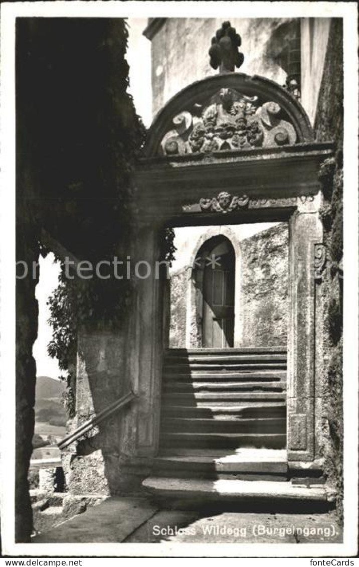 Wildegg Schloss Wildegg Burgeingang