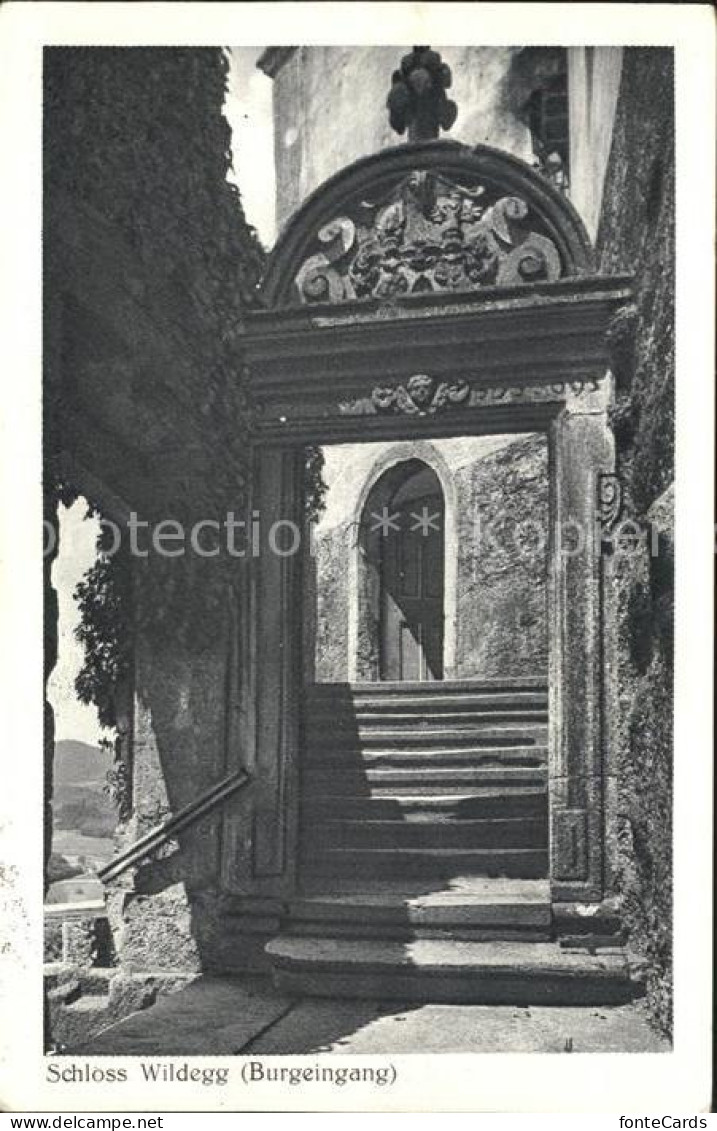 Wildegg Schloss Wildegg Burgeingang